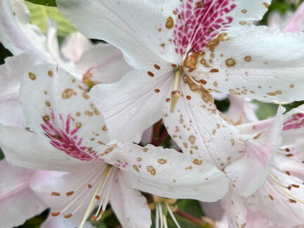 23-06-03 16-36-06 5785